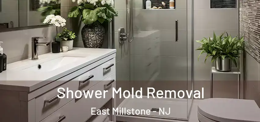  Shower Mold Removal East Millstone - NJ