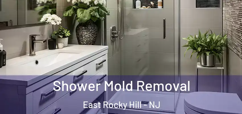 Shower Mold Removal East Rocky Hill - NJ