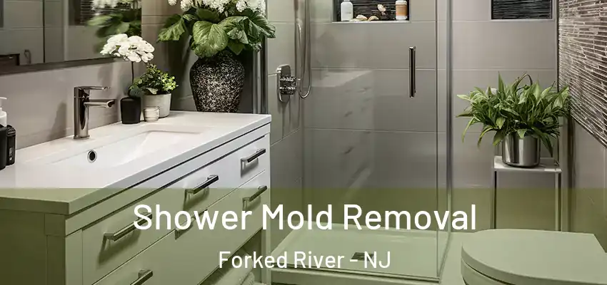  Shower Mold Removal Forked River - NJ