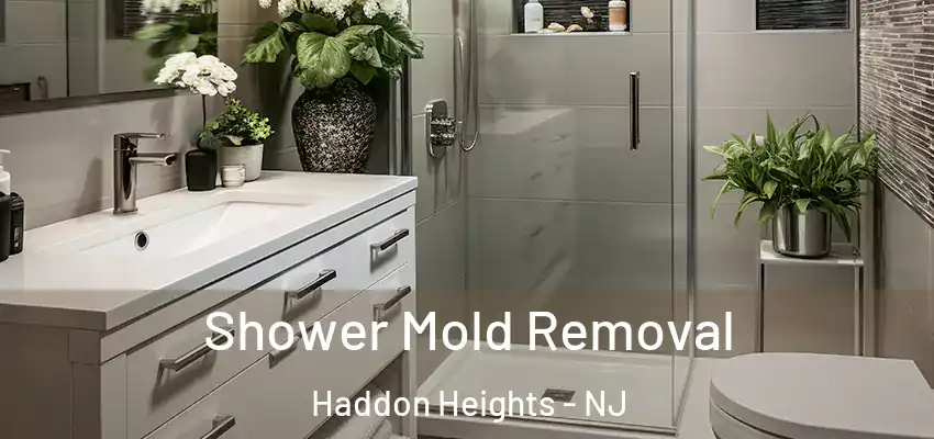 Shower Mold Removal Haddon Heights - NJ