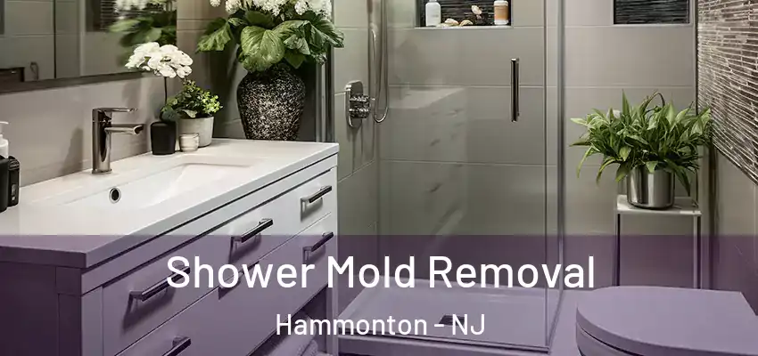  Shower Mold Removal Hammonton - NJ