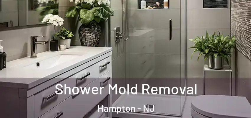  Shower Mold Removal Hampton - NJ