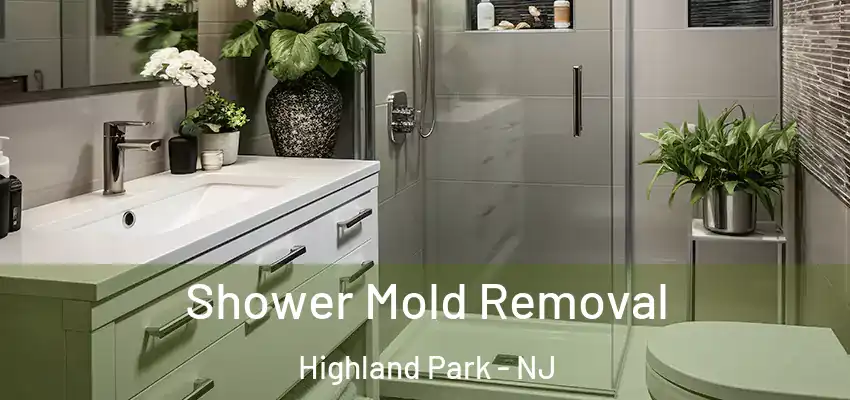  Shower Mold Removal Highland Park - NJ