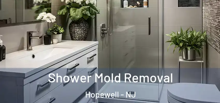  Shower Mold Removal Hopewell - NJ