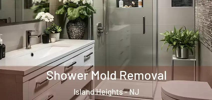 Shower Mold Removal Island Heights - NJ