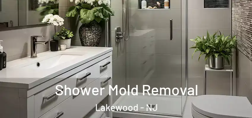 Shower Mold Removal Lakewood - NJ