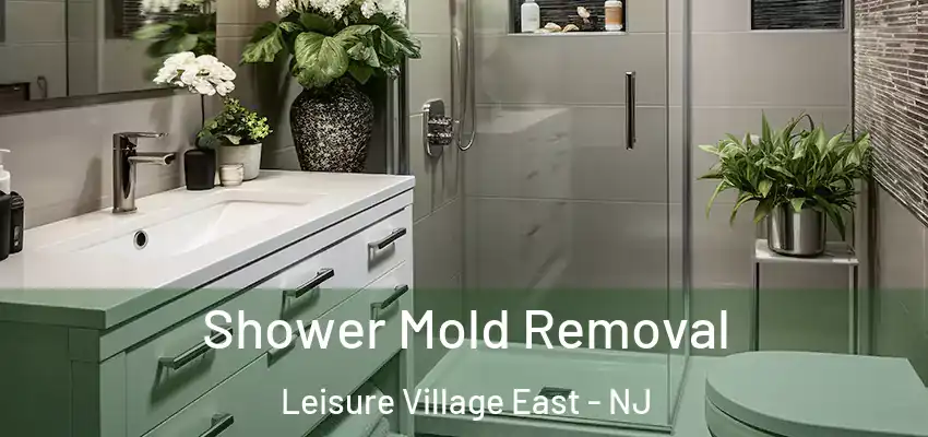 Shower Mold Removal Leisure Village East - NJ