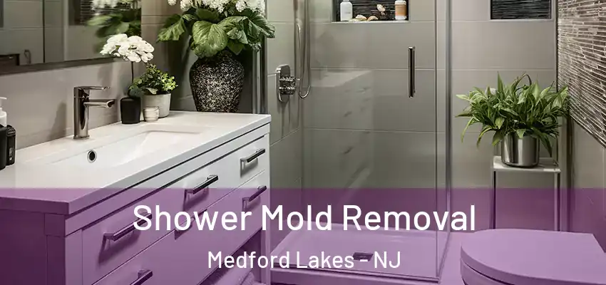 Shower Mold Removal Medford Lakes - NJ