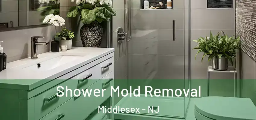 Shower Mold Removal Middlesex - NJ