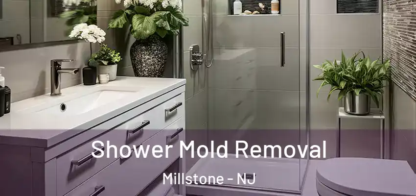  Shower Mold Removal Millstone - NJ