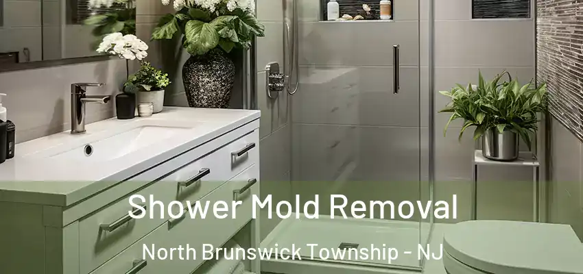  Shower Mold Removal North Brunswick Township - NJ