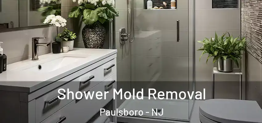 Shower Mold Removal Paulsboro - NJ