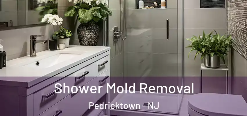  Shower Mold Removal Pedricktown - NJ