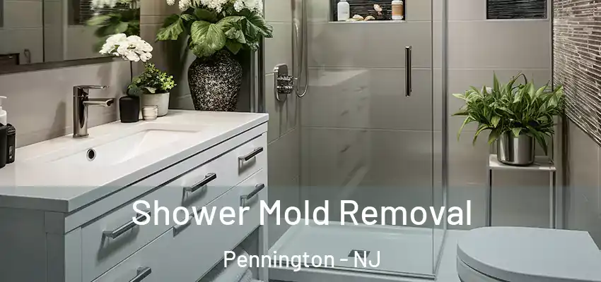  Shower Mold Removal Pennington - NJ