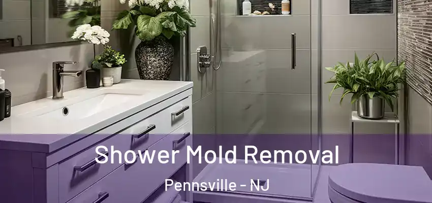  Shower Mold Removal Pennsville - NJ