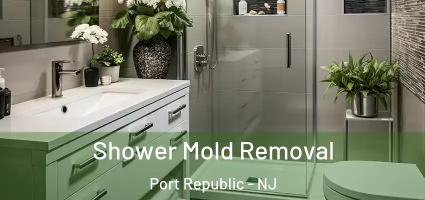 Shower Mold Removal Port Republic - NJ