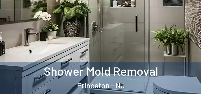 Shower Mold Removal Princeton - NJ