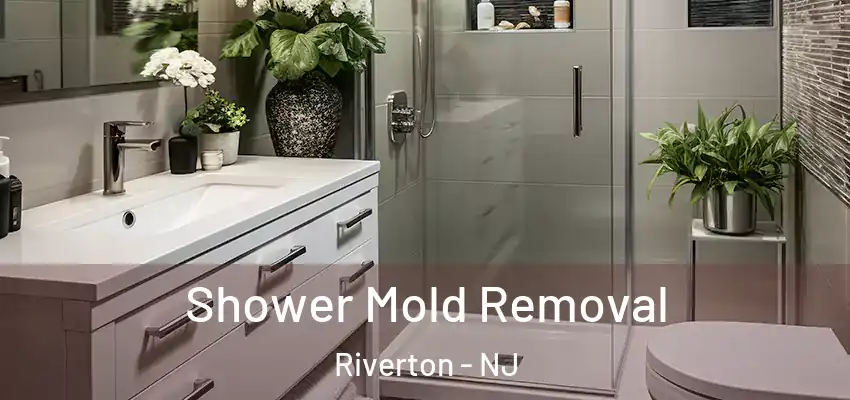Shower Mold Removal Riverton - NJ