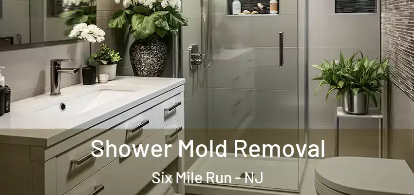  Shower Mold Removal Six Mile Run - NJ