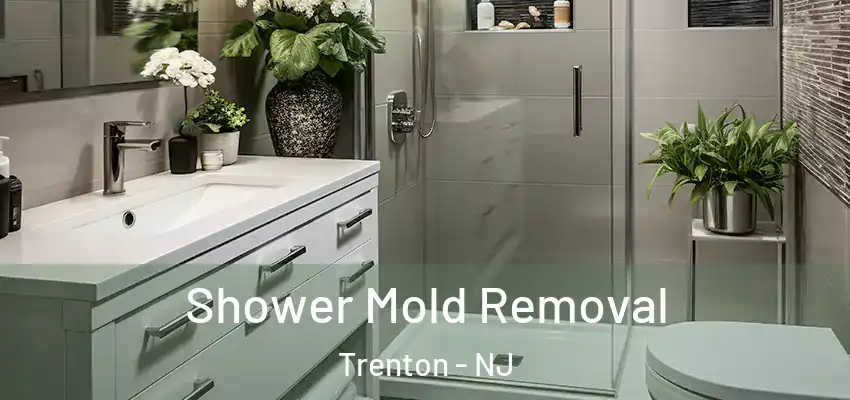 Shower Mold Removal Trenton - NJ