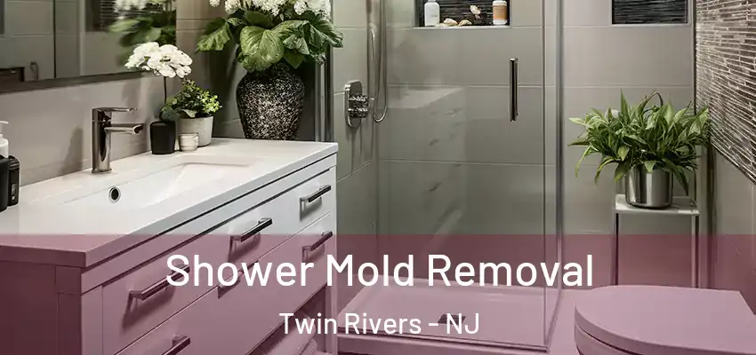Shower Mold Removal Twin Rivers - NJ