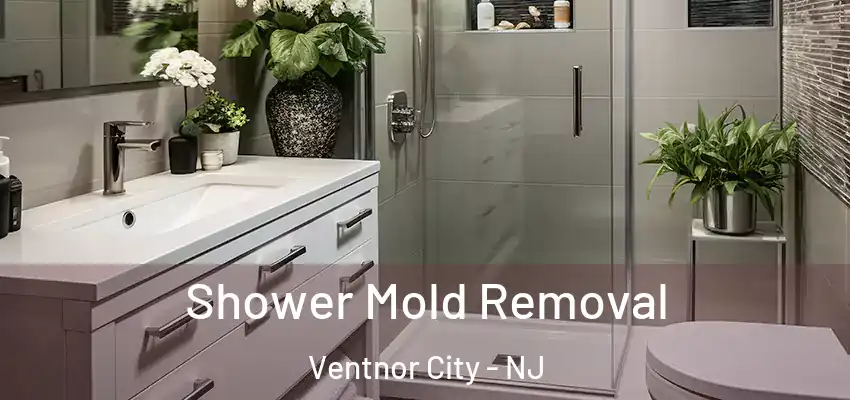  Shower Mold Removal Ventnor City - NJ