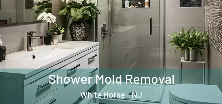 Shower Mold Removal White Horse - NJ