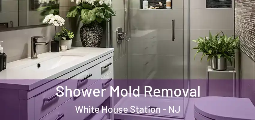  Shower Mold Removal White House Station - NJ