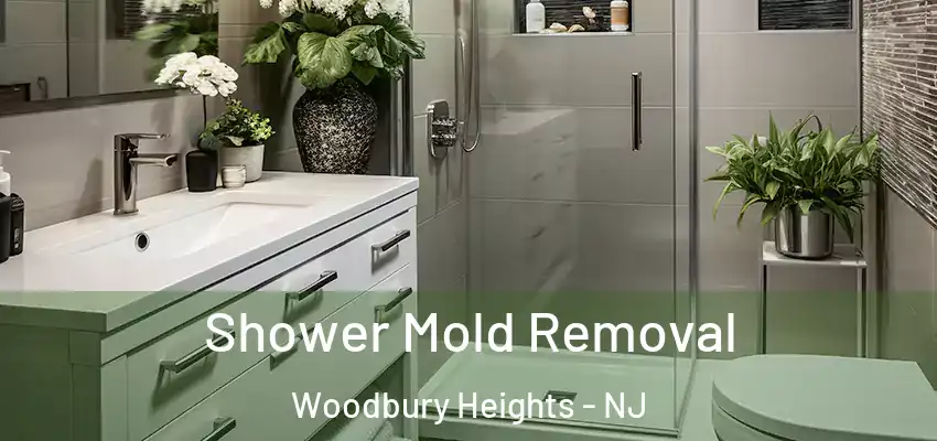 Shower Mold Removal Woodbury Heights - NJ